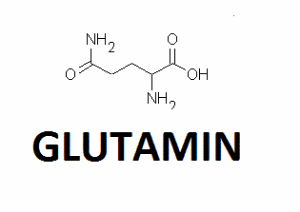 V čem nám pomůže glutamin?