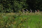DSC_7113.jpg