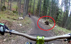 Biker se na Slovensku potkal ve sjezdu s medvědem!