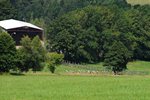 DSC_6570.jpg