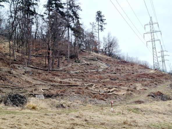 Pražský MTB pohár zahájí tuzemskou XCO sezónu!