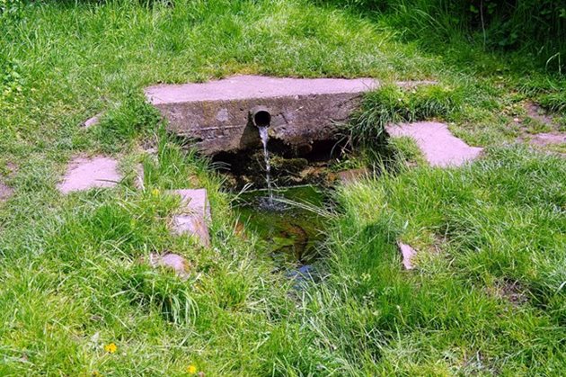 Přírodní studánky jako zdroj vody. Pít či nepít?