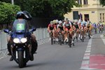 DSC_5973.jpg