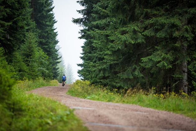 Lovec zvěře postřelil v lese mladou bikerku